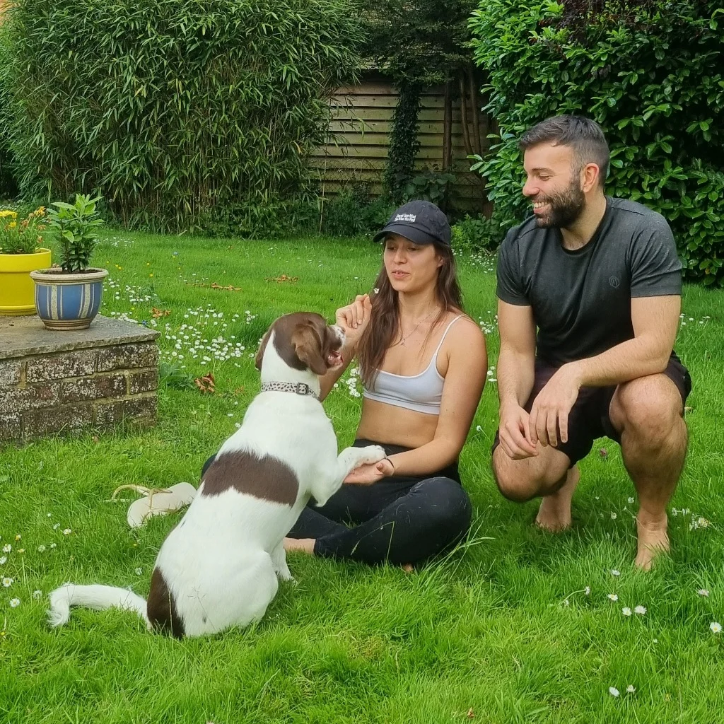 A couple sits on the grass petting a brown-and-white dog in a green backyard.