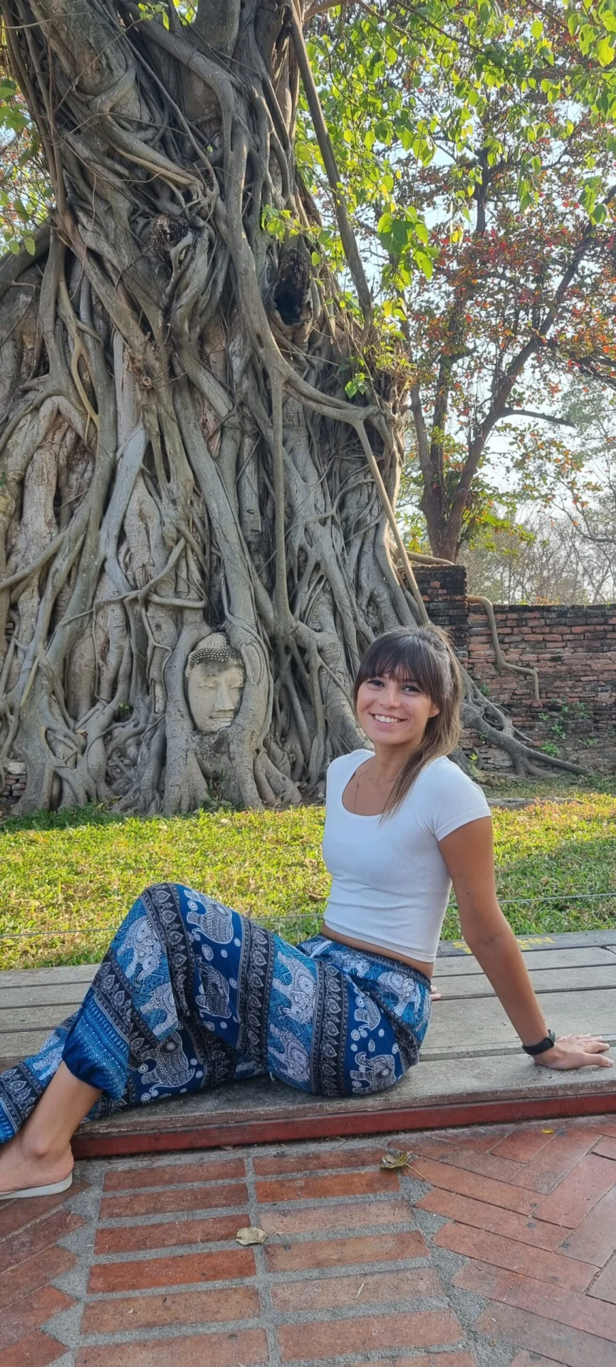 A woman sits beside a large tree growing around a temple ruin in Ayutthaya.