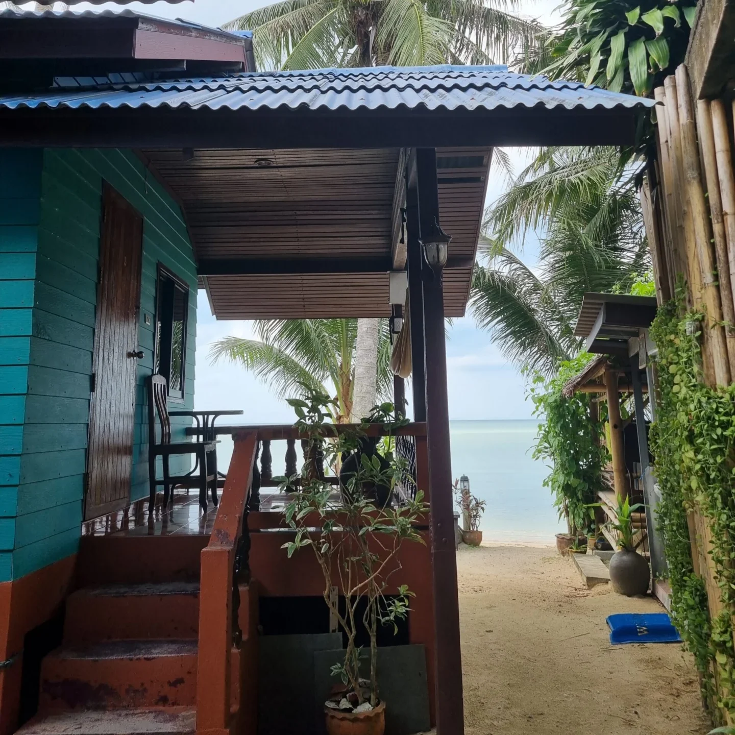 A narrow path runs between tropical bungalows and palm trees, opening toward a quiet beach and the sea beyond.