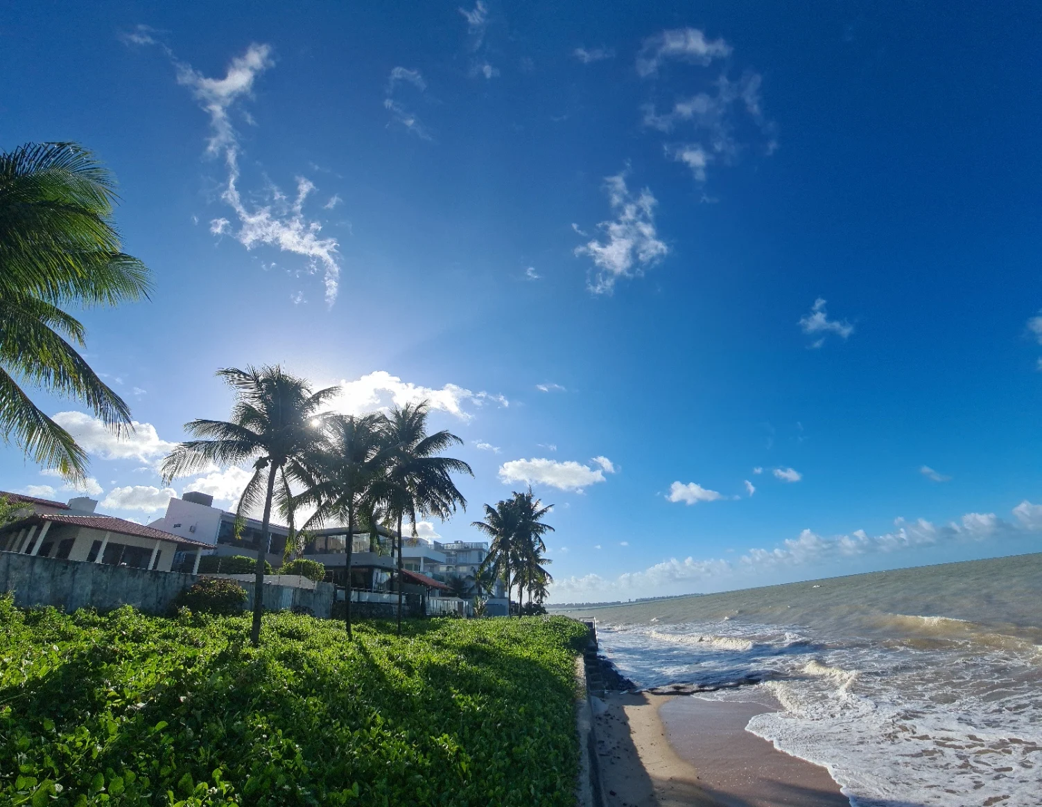 Sunny tropical beach with palm trees, green shoreline vegetation, and waves under a blue sky.