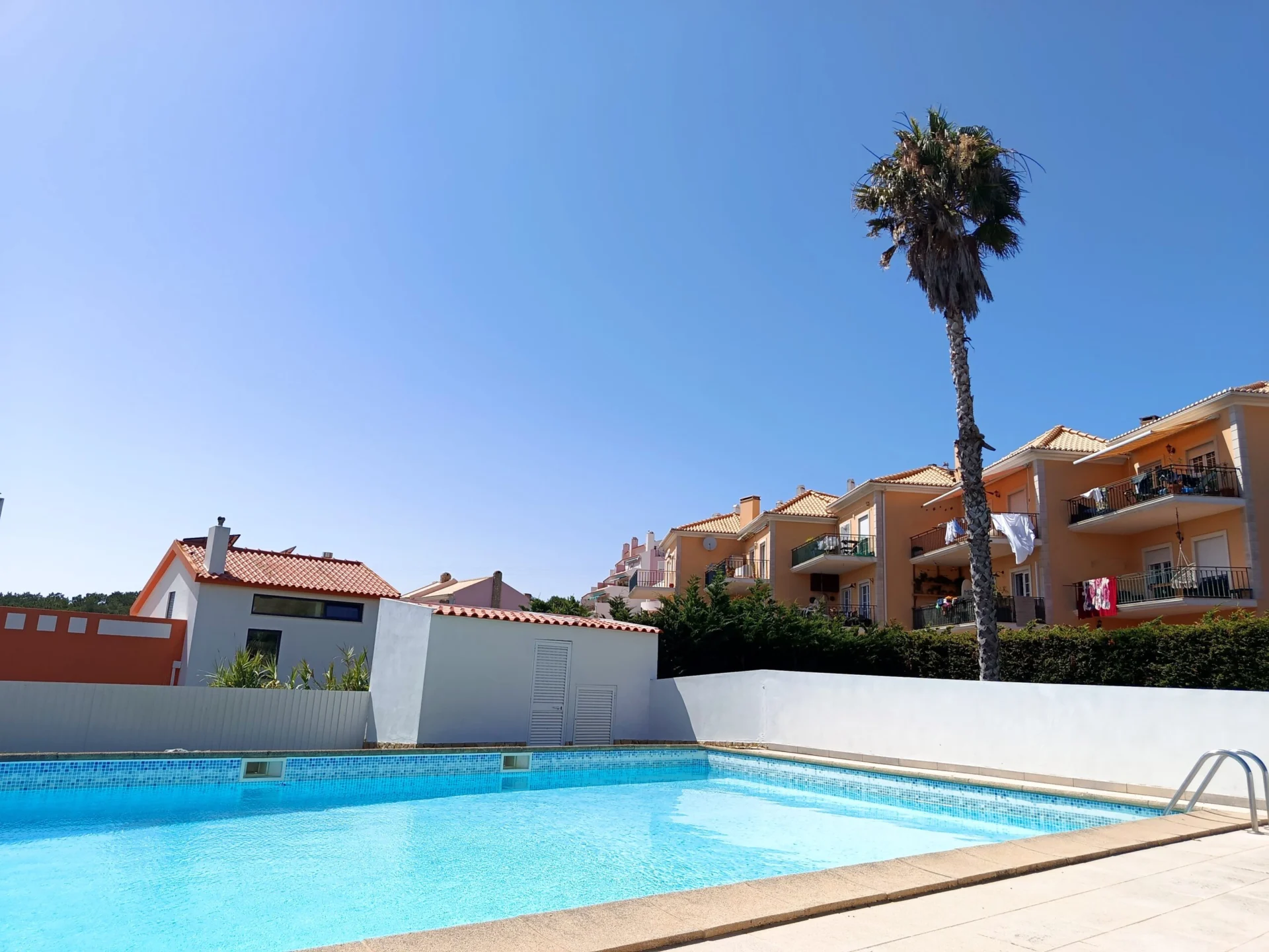 A swimming pool with apartment buildings and a palm tree under a clear blue sky.