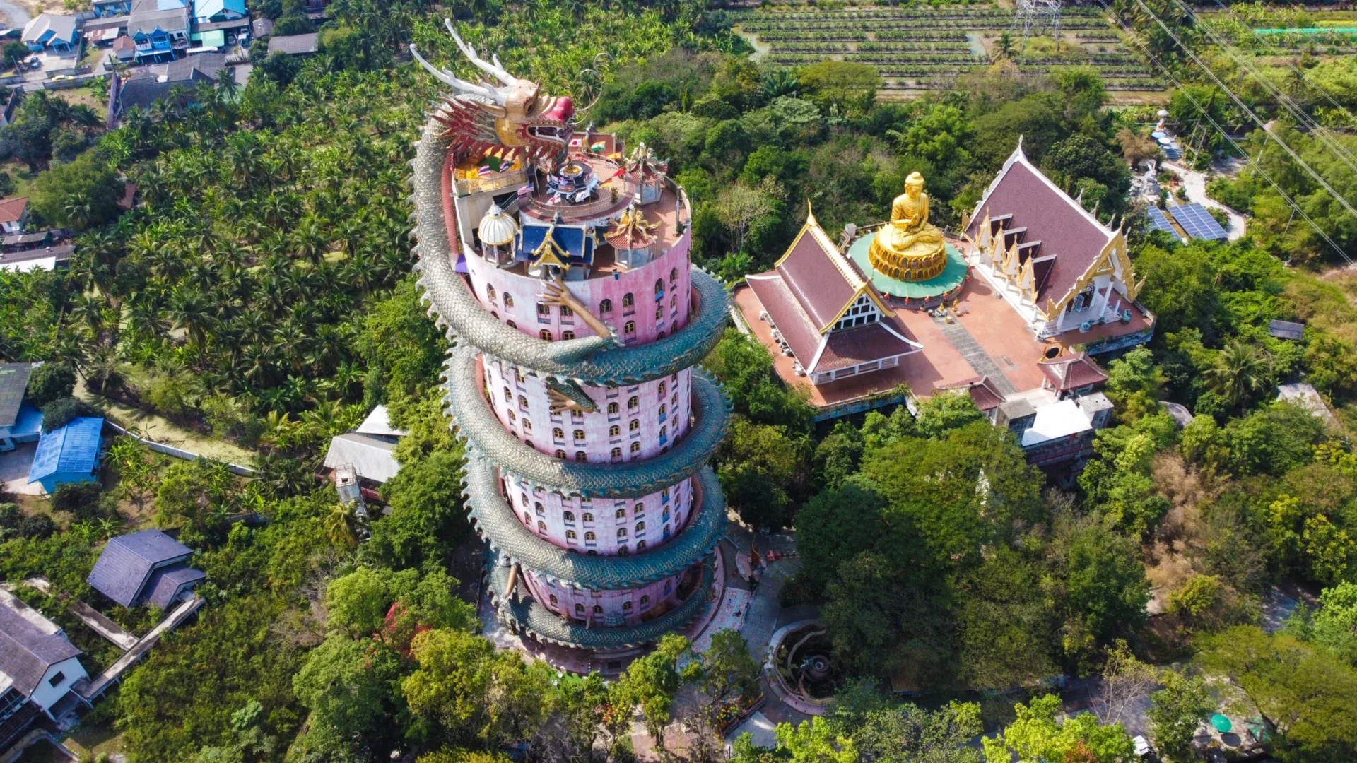 A pink tower wrapped by a giant dragon rises above trees in an aerial view of Wat Samphran.