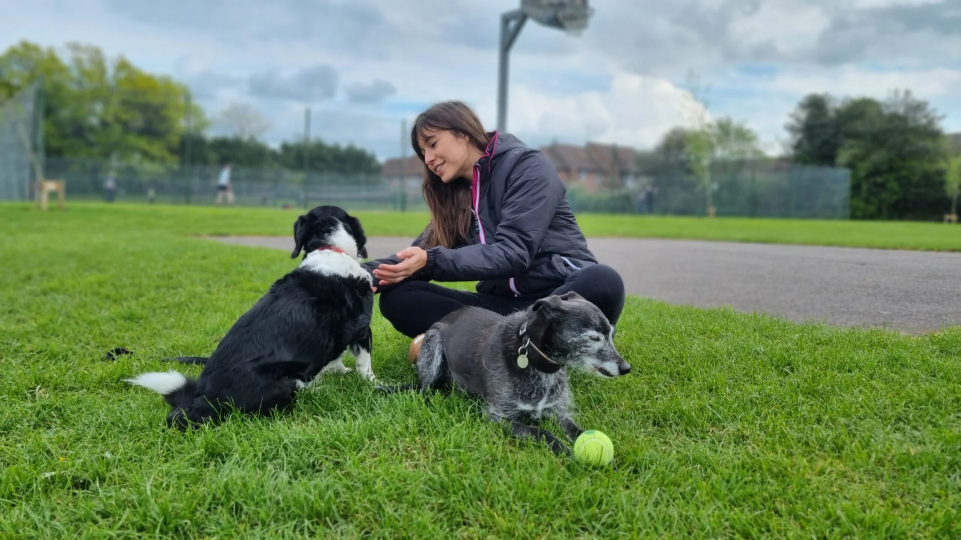 Woman sitting on grass and playing with two dogs in a park.