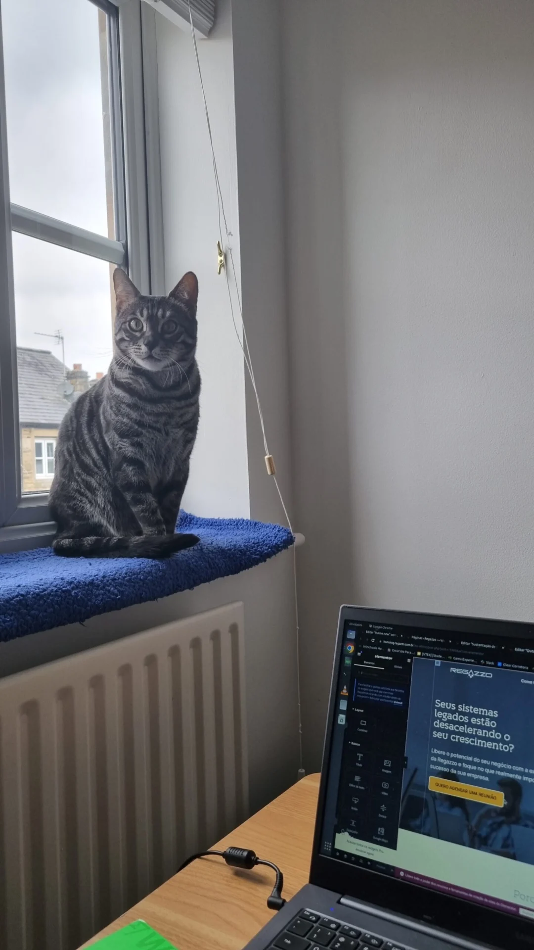Tabby cat sitting on a window sill beside a desk and laptop